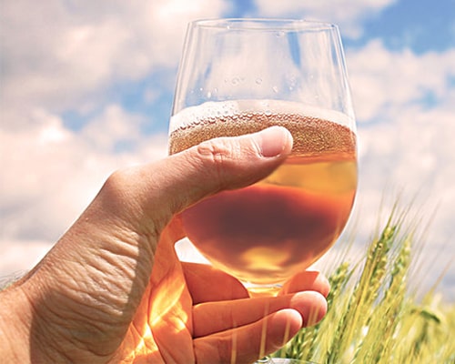 Характеристики и пивоваренные технологии пшеничного пива